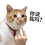 春日胜秋朝